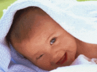 F6091975-18.gif
