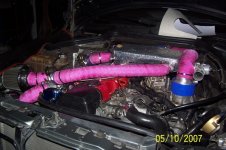 Picture 274.jpg
