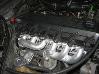 IMG_21581.jpg