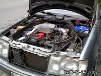 IMG875R.jpg