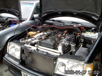 IMG874R.jpg