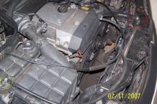 Picture 376.jpg