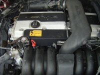Amg.jpg