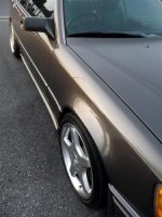 P1010588 (Medium).jpg