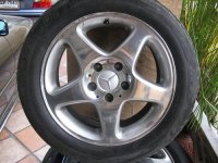 img_1724_103.jpg