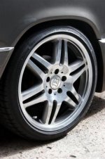 _MG_2771 (Medium).jpg