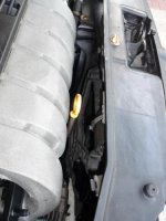 P1010534_resize.jpg