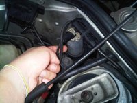 IMG00307-20101031-11260000.jpg