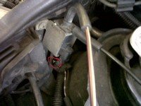 IMG00236-20110103-1233.jpg