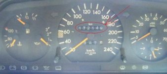 Mile.jpg