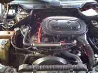 resize_of_img_0138_650.jpg
