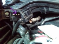 2012-01-09 10.00.39.jpg