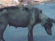 Image002.jpg