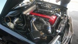 Resize of P1010066.jpg